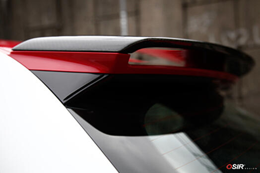 Спойлер на крышу карбоновый Audi a1 Competition  Telson A1-C carbon 