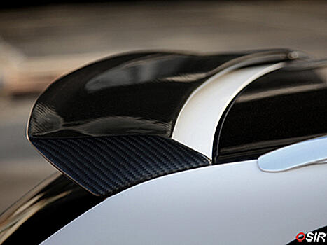 Спойлер задний карбоновый Audi A3 Sportback 06-08/ 09+ TELSON A3S Carbon 