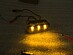 Поворотники диодные LED черные VW, SEAT, SKODA 80067-2 1J09499117 -- Фотография  №6 | by vonard-tuning